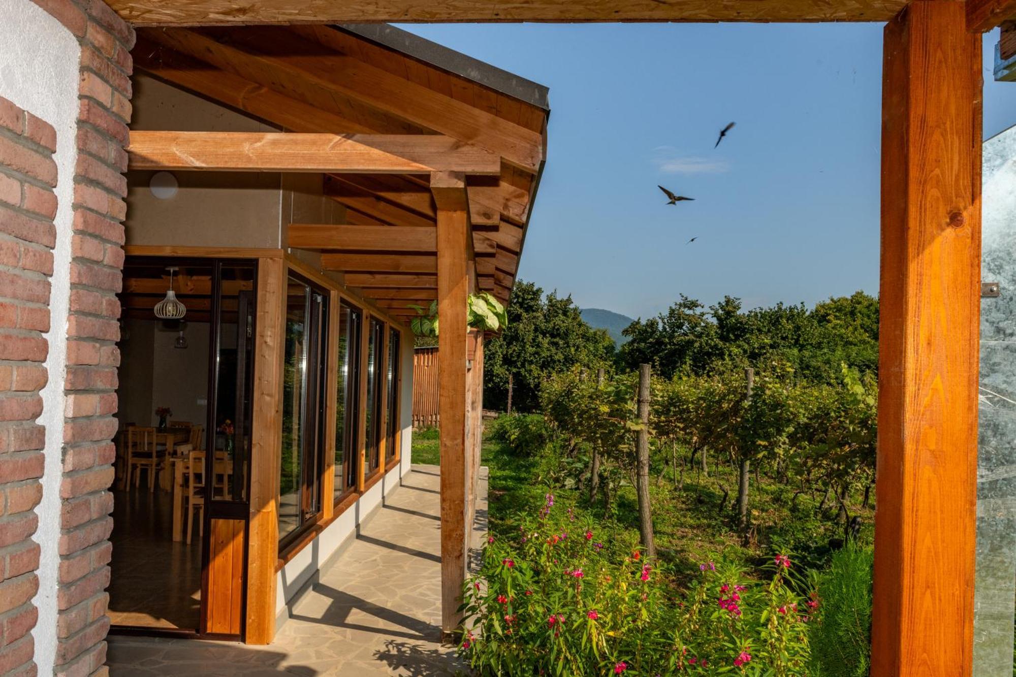 Alvani Inn K'vemo Alvani Kültér fotó